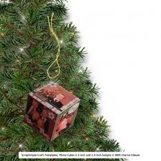 Sample of Completed Photo Cube used as an ornament by Cherise Oleson (see supplies used listed below)