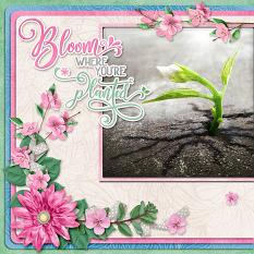 Bloom Where You're Planted digital scrapbook layout by Laura Louie