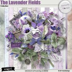 The Lavender Fields Collection Biggie 