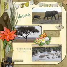Into the Wild Layout