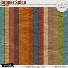 Copper Spice Solid Papers 