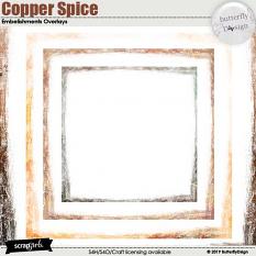Value Pack : The Copper Spice details