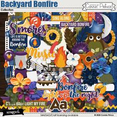 Backyard Bonfire by Connie Prince