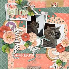 CT Layout using Cattitude by Connie Prince