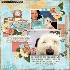 CT Layout using Photograph by Connie Prince
