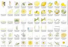 Layout using ScrapSimple Digital Layout Collection:lemon story