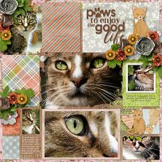 Paws and Claws Layout