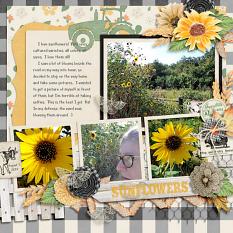 CT Layout using Farmhouse Fall by Connie Prince