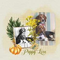 Layout using ScrapSimple Digital Layout Collection:autumn memory
