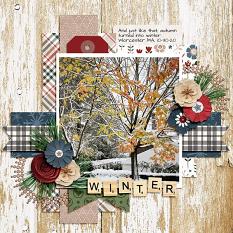 CT Layout using Let's Get Cozy by Connie Prince
