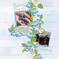 Layout using Berry Patch Collection Mini by Angela Blanchard