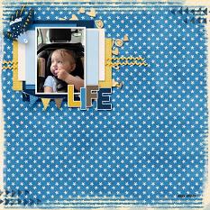 CT Layout using Life Chronicled: Challenges by Connie Prince