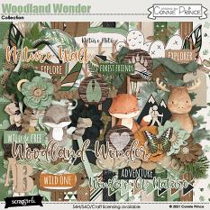 Woodland Wonder by Connie Prince