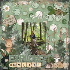 CT Layout using Woodland Wonder by Connie Prince