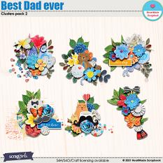 Best Dad ever - clusters pack 2 by HeartMade Scrapbook