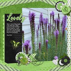 CT Layout using Ribbons & Papers Volume 16 12x12 Templates by Connie Prince