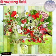 Strawberry Field Collection