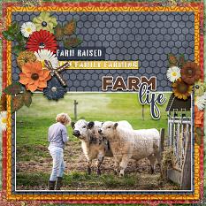 Layout using FarmLife Collection Biggie