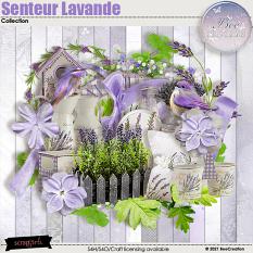 Senteur Lavande Collection