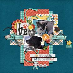 Layout created using the Furever Love Collection