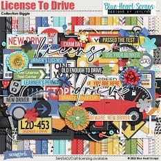 License To Drive Collection Biggie