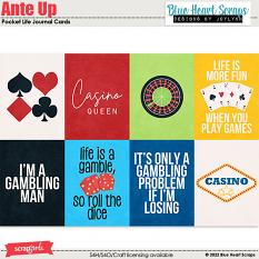 Ante Up Pocket Life Journal Cards