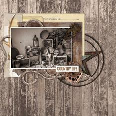 Layout Using Rustic Farmhouse by AdrienneSkeltonDesigns