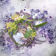 Lavender Wishes LO1