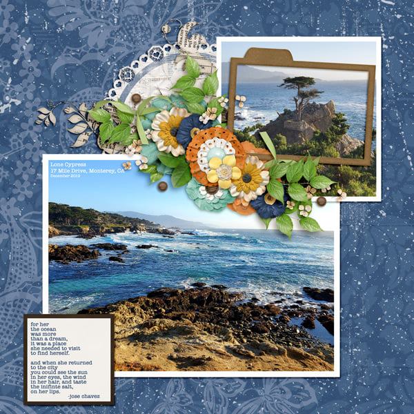 CT Layout using Butterfly Garden by Connie Prince