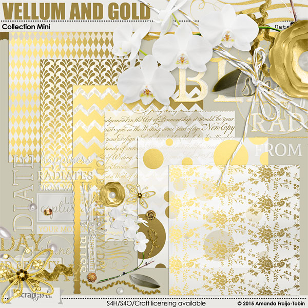 Vellum and Gold Collection Biggie