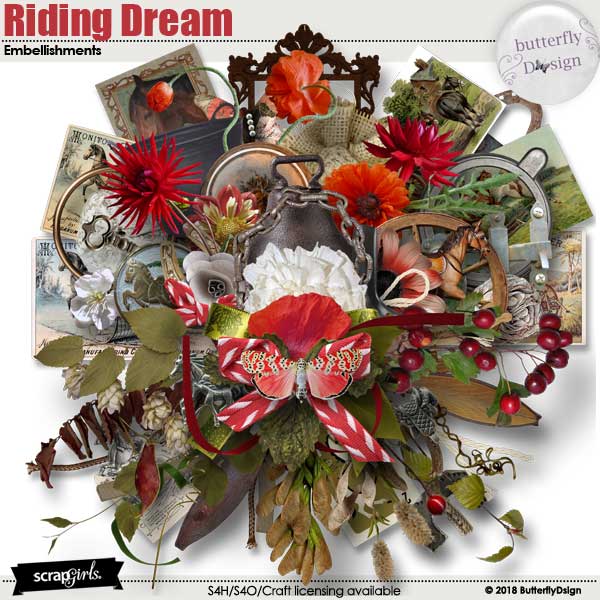 Riding Dream Embellishments 