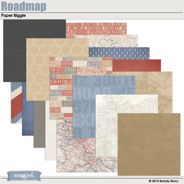 Roadmap Paper