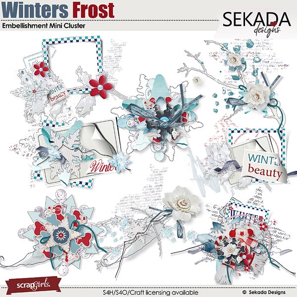 Winters Frost Embellishment Mini Clusters