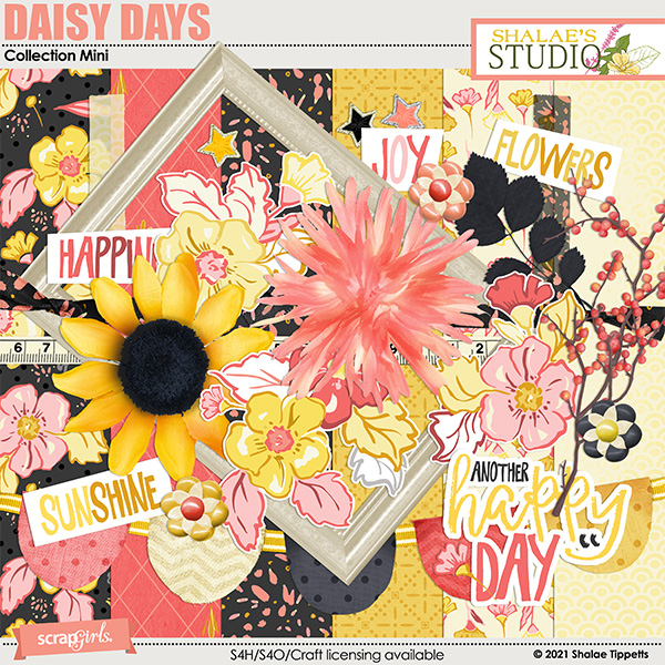 Daisy Days Collection Mini