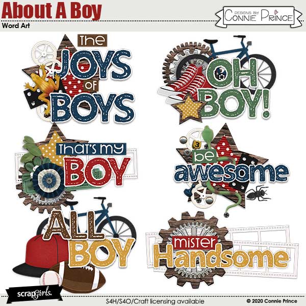 About A Boy by Connie Prince