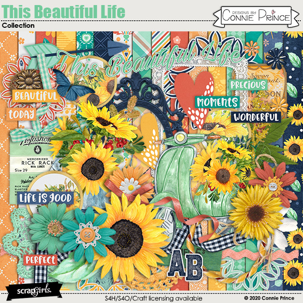 This Beautiful Life by Connie Prince