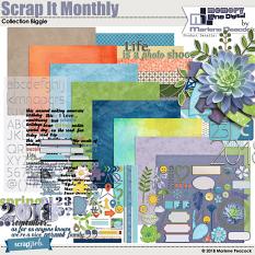Scrap It Monthly Collection Biggie