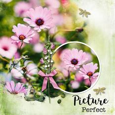 "Picture Perfect" digital scrapbook layout by Carmel Munro