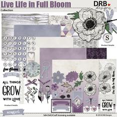 Live Life in Full Bloom Collection by DRB Designs | DRB Designs