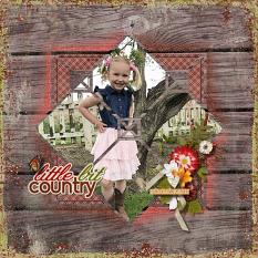 Little Bit Country Layout