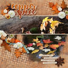 Copper Spice Layout
