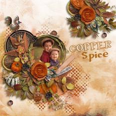 Copper Spice Collection details