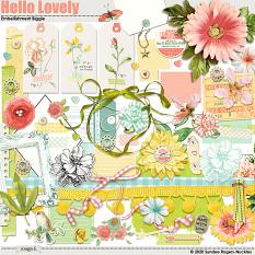 Embellishments included in the Hello Lovely Collection Biggie