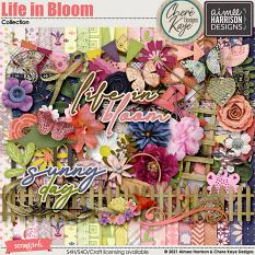 Life In Bloom Collection Biggie