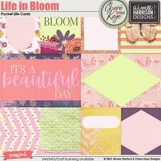 Life In Bloom Cards