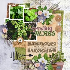 Rosemary and Thyme Layout