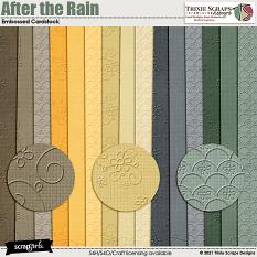 After the Rain Cardstock Trixie Scraps Designs