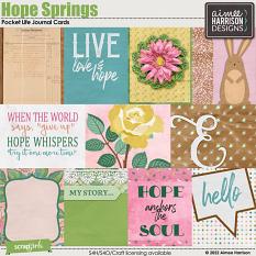 Hope Springs Journal Cards 