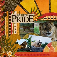 King of the Pride Layout by Stacey
