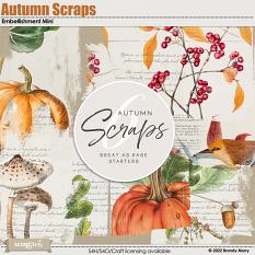 Autumn Scraps Embellishment Mini